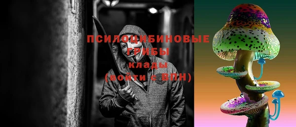 прущие грибы Белоозёрский