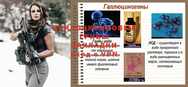2c-b Богданович