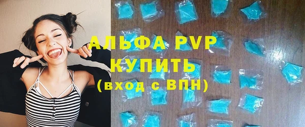 прущие грибы Белоозёрский
