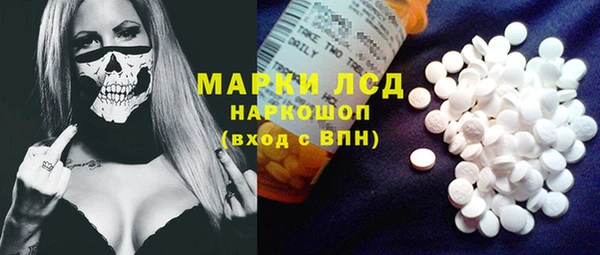 прущие грибы Белоозёрский