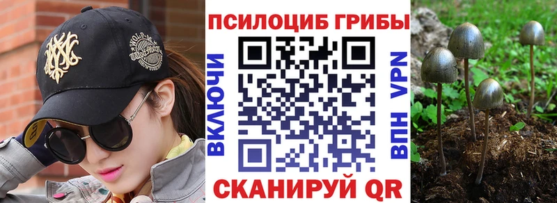 Галлюциногенные грибы мухоморы  Онега 